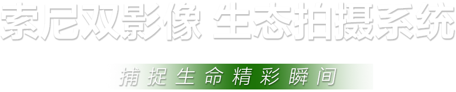 索尼微單?拍鳥旗艦